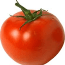 Profile Picture for tomatoed