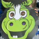 Profile Picture for boilerup31