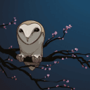 Profile Picture for zsawk