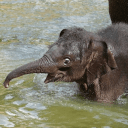 Profile Picture for carnistas