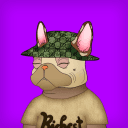 Profile Picture for infernosalex